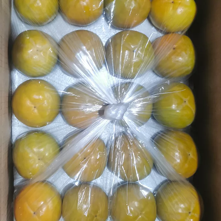 Premium Fresh Crisp Persimmon
