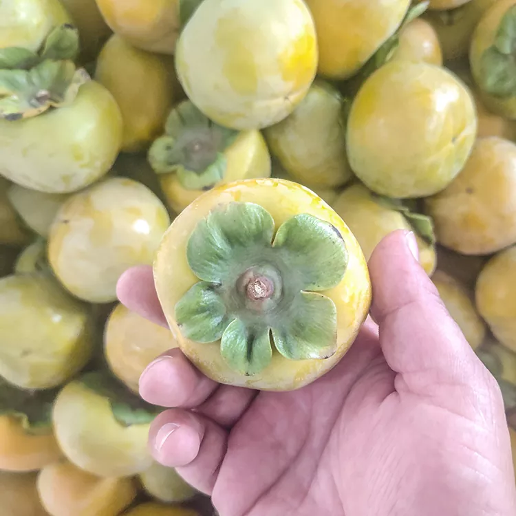 پريميئم تازو ڪرسپ Persimmon