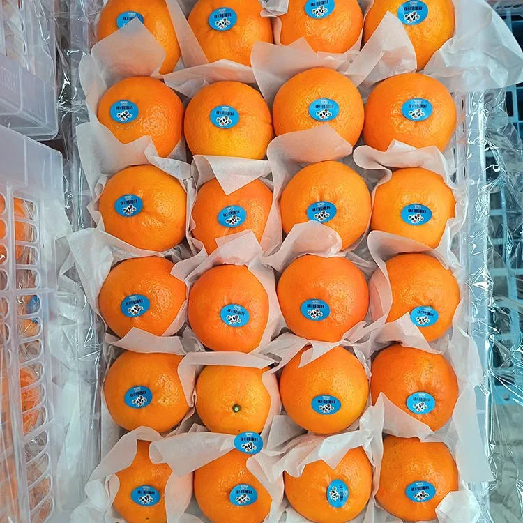 پريميئم تازو مٺي ووگن منڊارن