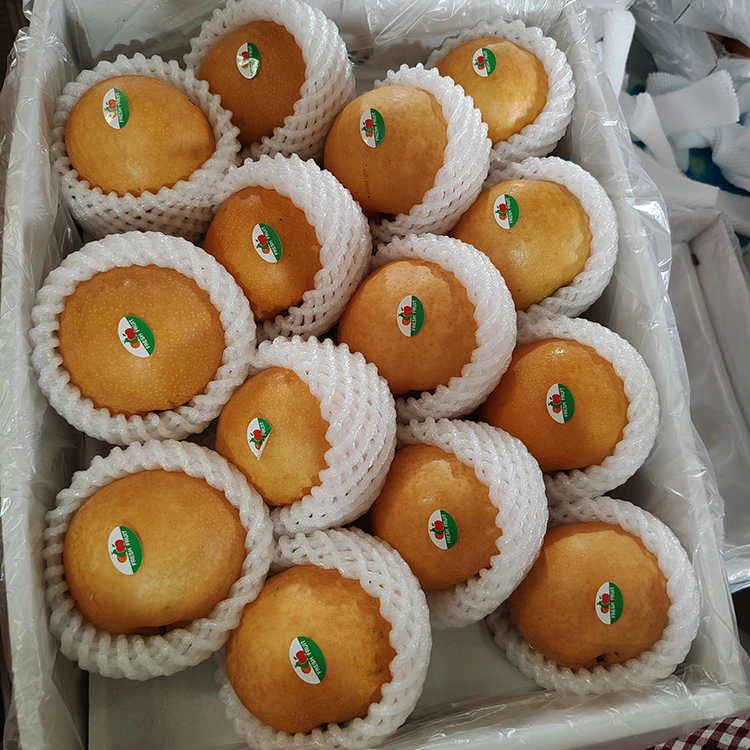 پريميئم شنگو پيئرس