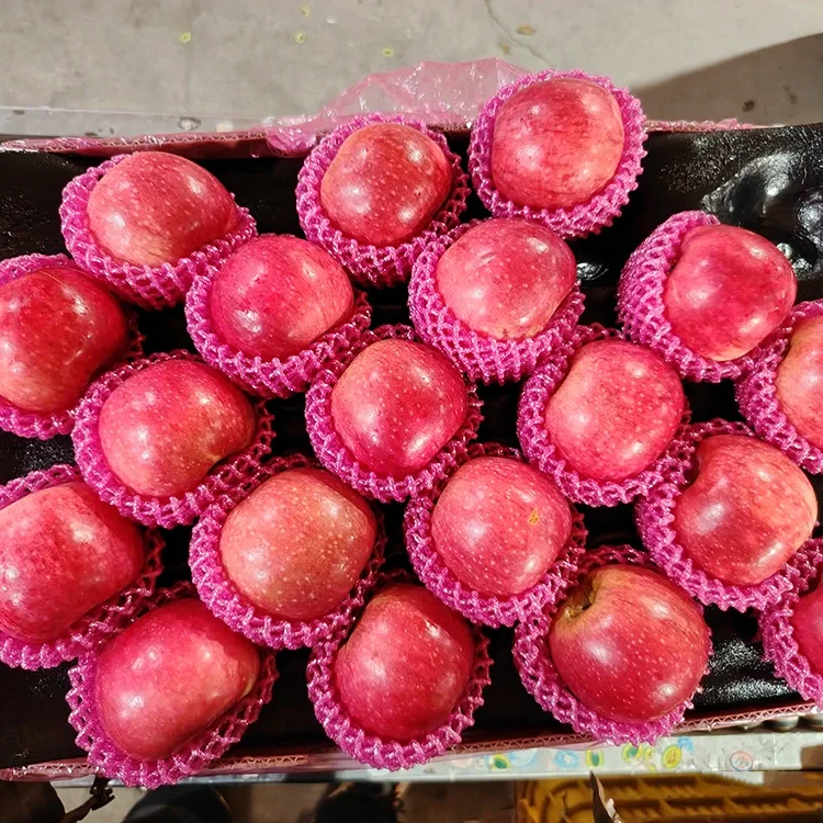 سُپريئر تازو Jiguan Apples